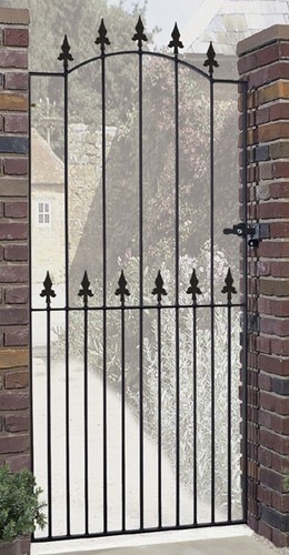 Salva spear top - salva, garden