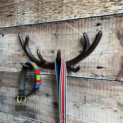 Cast iron antler shaped wall - iron,